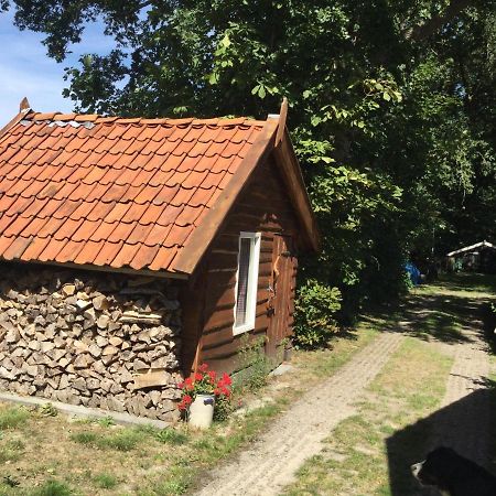 Landelijk Gelegen Huisje Op Erf Veeningen Екстериор снимка