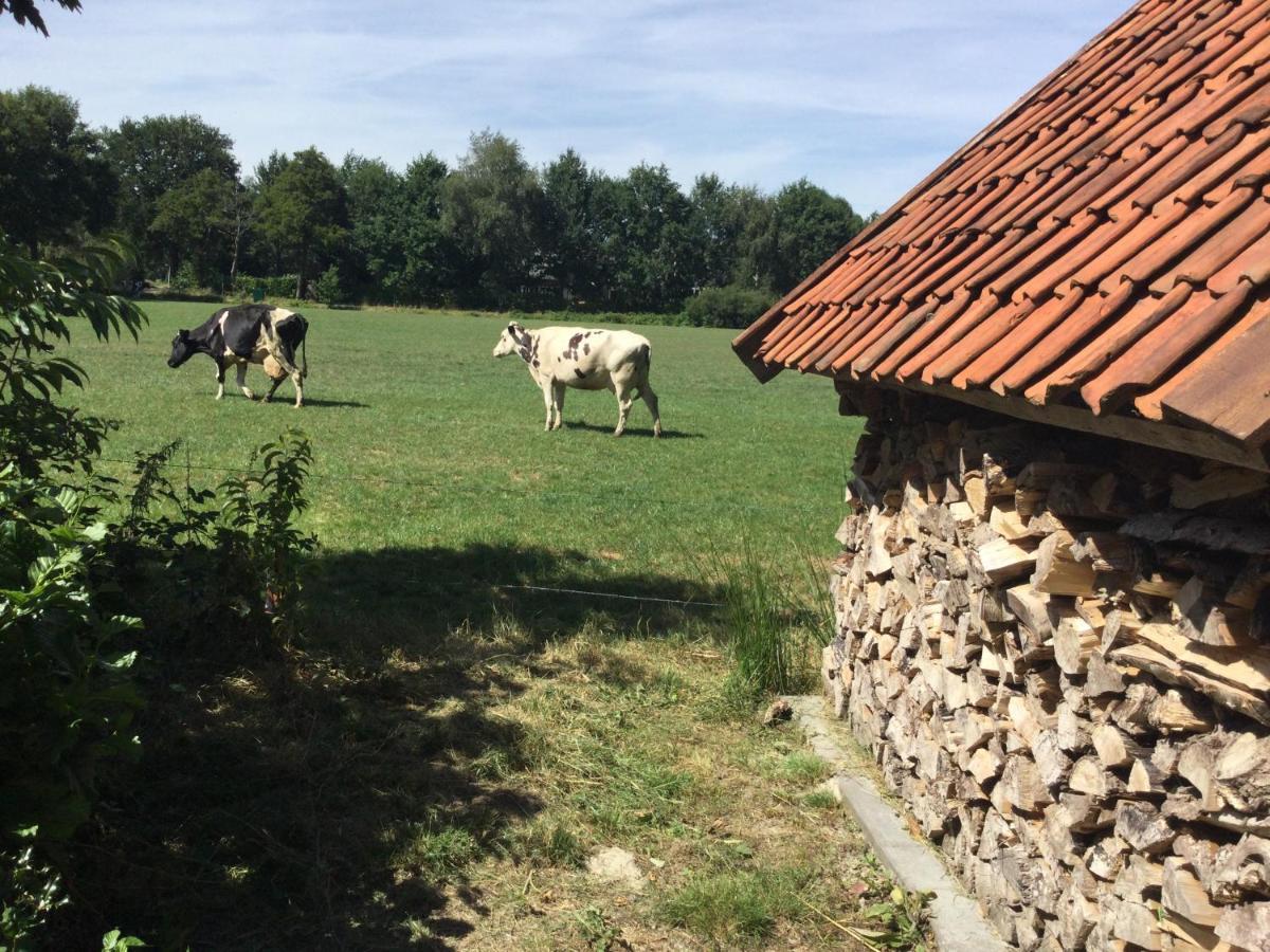 Landelijk Gelegen Huisje Op Erf Veeningen Екстериор снимка